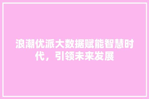 浪潮优派大数据赋能智慧时代，引领未来发展