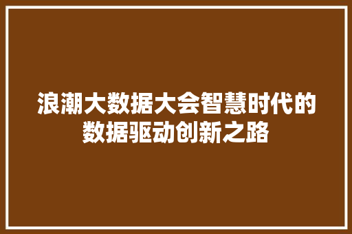 浪潮大数据大会智慧时代的数据驱动创新之路