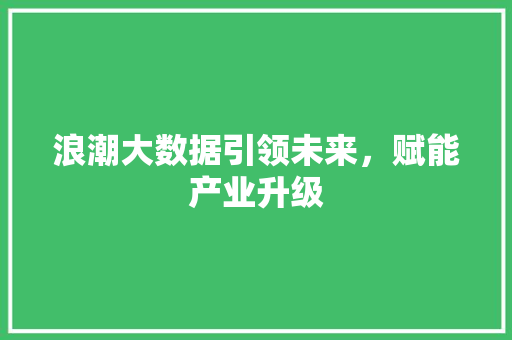 浪潮大数据引领未来，赋能产业升级