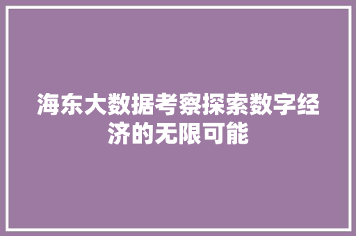 海东大数据考察探索数字经济的无限可能
