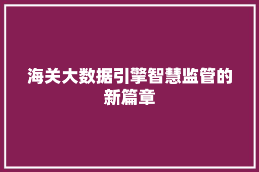 海关大数据引擎智慧监管的新篇章