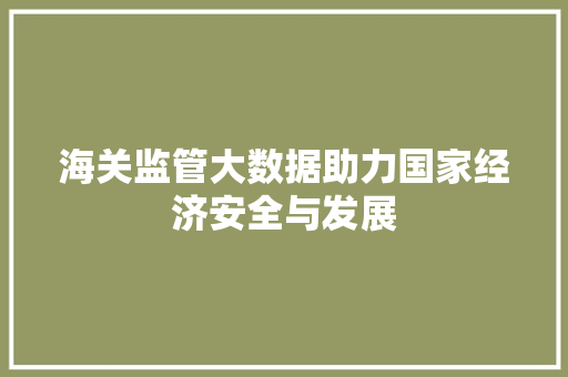 海关监管大数据助力国家经济安全与发展 海关监管大数据助力国家经济安全与发展