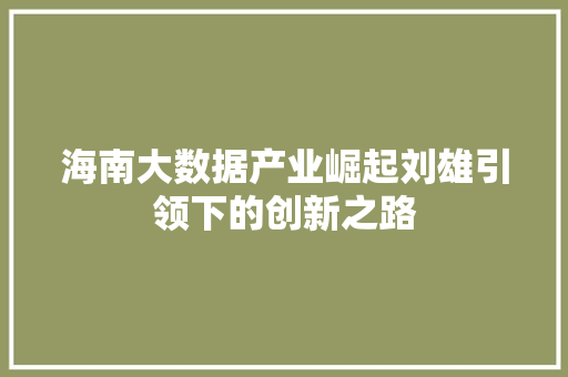 海南大数据产业崛起刘雄引领下的创新之路 海南大数据产业崛起刘雄引领下的创新之路