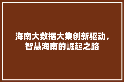 海南大数据大集创新驱动，智慧海南的崛起之路