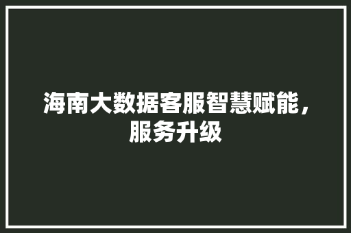 海南大数据客服智慧赋能，服务升级