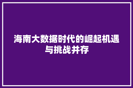 海南大数据时代的崛起机遇与挑战并存