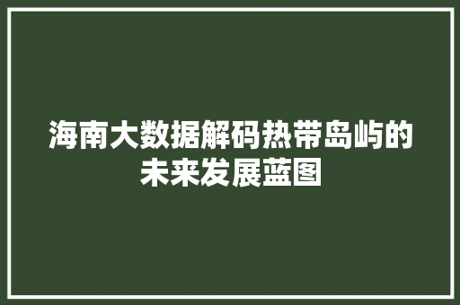 海南大数据解码热带岛屿的未来发展蓝图