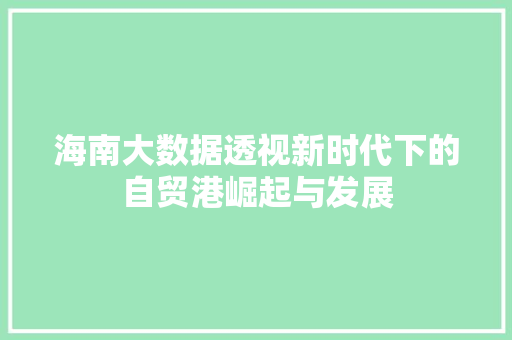 海南大数据透视新时代下的自贸港崛起与发展