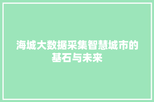 海城大数据采集智慧城市的基石与未来 海城大数据采集智慧城市的基石与未来