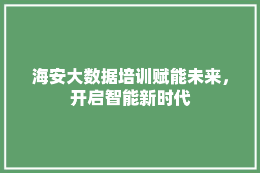 海安大数据培训赋能未来，开启智能新时代