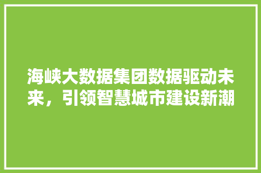海峡大数据集团数据驱动未来，引领智慧城市建设新潮流
