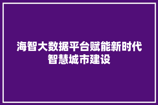 海智大数据平台赋能新时代智慧城市建设