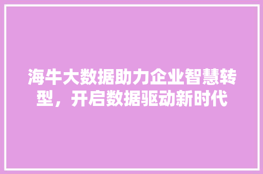 海牛大数据助力企业智慧转型,开启数据驱动新时代 海牛大数据助力企业智慧转型,开启数据驱动新时代
