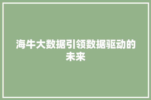 海牛大数据引领数据驱动的未来 海牛大数据引领数据驱动的未来