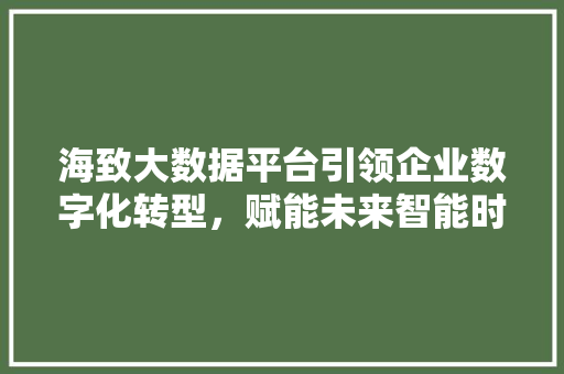 海致大数据平台引领企业数字化转型，赋能未来智能时代
