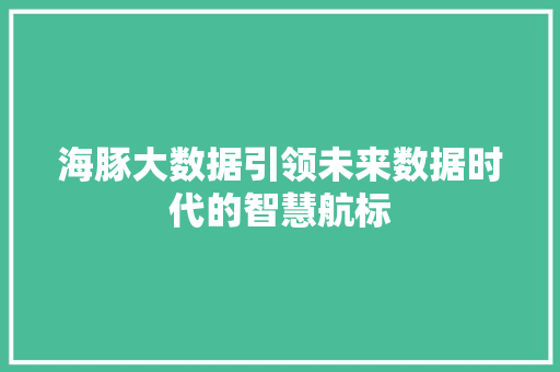 海豚大数据引领未来数据时代的智慧航标