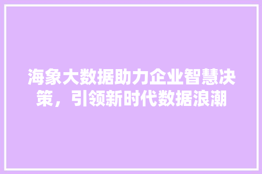 海象大数据助力企业智慧决策，引领新时代数据浪潮
