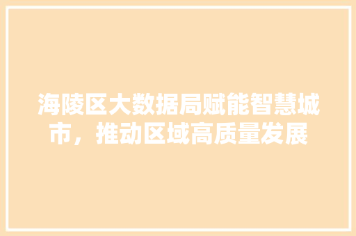 海陵区大数据局赋能智慧城市，推动区域高质量发展