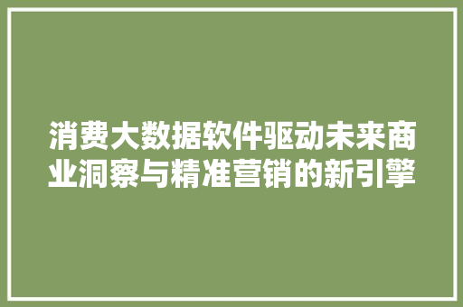 消费大数据软件驱动未来商业洞察与精准营销的新引擎