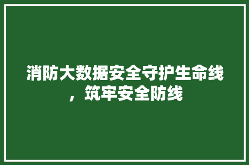 消防大数据安全守护生命线，筑牢安全防线