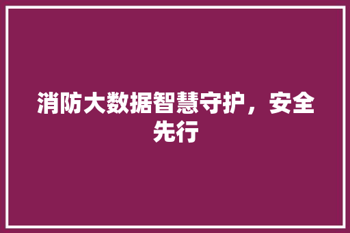 消防大数据智慧守护，安全先行