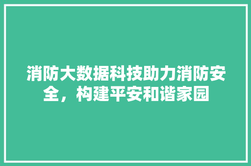 消防大数据科技助力消防安全，构建平安和谐家园