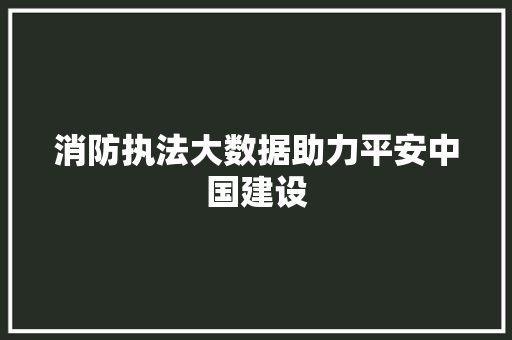 消防执法大数据助力平安中国建设