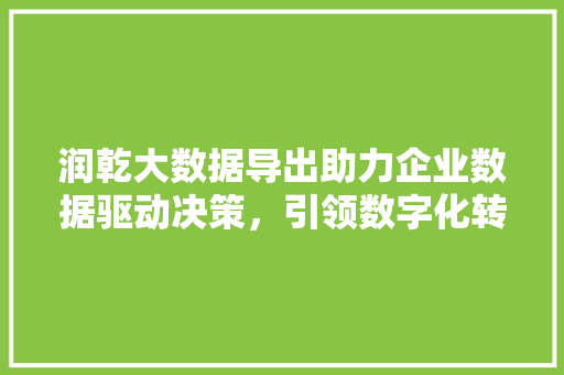 润乾大数据导出助力企业数据驱动决策，引领数字化转型