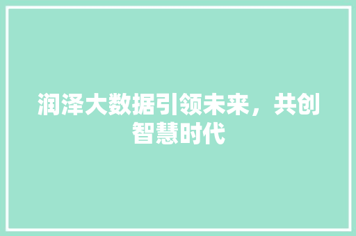 润泽大数据引领未来，共创智慧时代