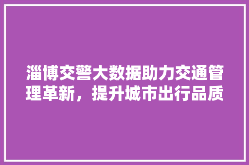 淄博交警大数据助力交通管理革新，提升城市出行品质