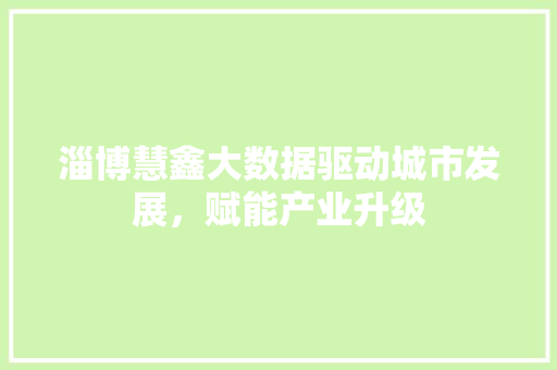 淄博慧鑫大数据驱动城市发展，赋能产业升级