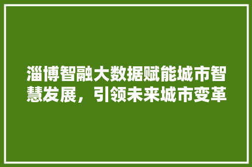 淄博智融大数据赋能城市智慧发展，引领未来城市变革