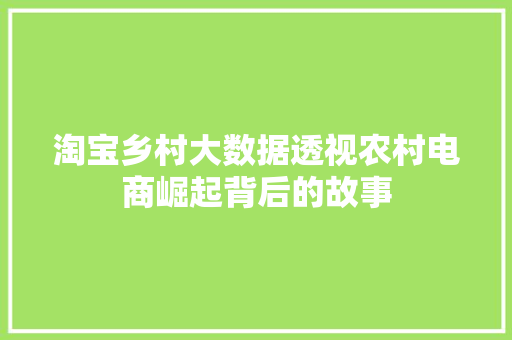 淘宝乡村大数据透视农村电商崛起背后的故事