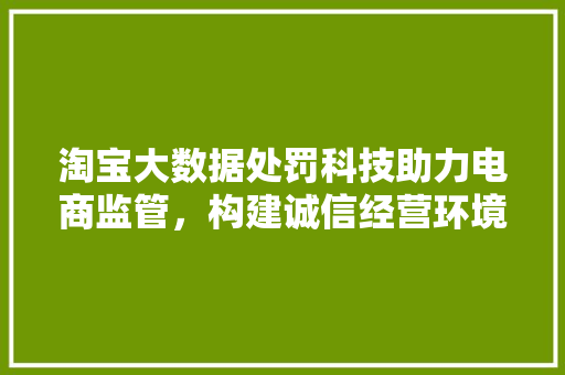 淘宝大数据处罚科技助力电商监管，构建诚信经营环境