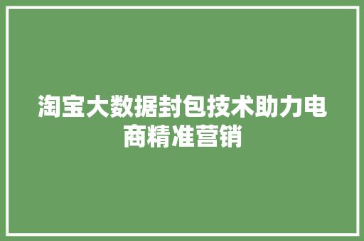 淘宝大数据封包技术助力电商精准营销