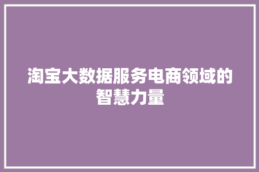 淘宝大数据服务电商领域的智慧力量