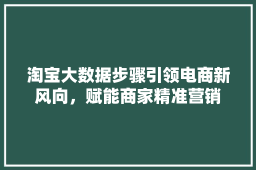 淘宝大数据步骤引领电商新风向,赋能商家精准营销 淘宝大数据步骤引领电商新风向,赋能商家精准营销