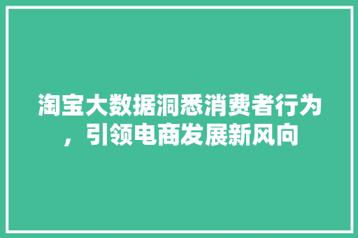 淘宝大数据洞悉消费者行为,引领电商发展新风向 淘宝大数据洞悉消费者行为,引领电商发展新风向