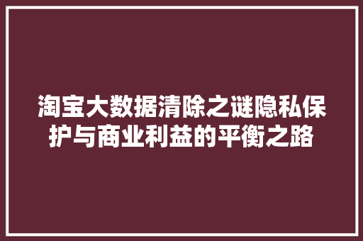 淘宝大数据清除之谜隐私保护与商业利益的平衡之路 淘宝大数据清除之谜隐私保护与商业利益的平衡之路