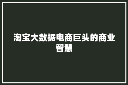 淘宝大数据电商巨头的商业智慧 淘宝大数据电商巨头的商业智慧