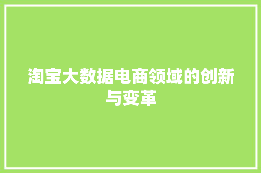 淘宝大数据电商领域的创新与变革 淘宝大数据电商领域的创新与变革