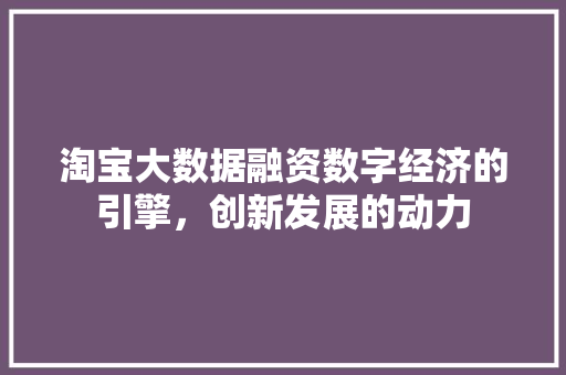淘宝大数据融资数字经济的引擎，创新发展的动力