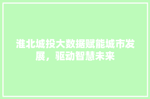 淮北城投大数据赋能城市发展，驱动智慧未来
