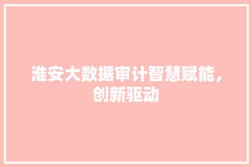 淮安大数据审计智慧赋能，创新驱动