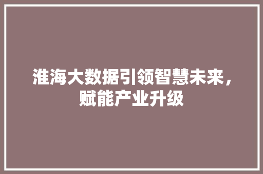 淮海大数据引领智慧未来，赋能产业升级