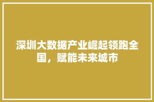 深圳大数据产业崛起领跑全国，赋能未来城市