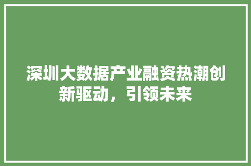 深圳大数据产业融资热潮创新驱动，引领未来