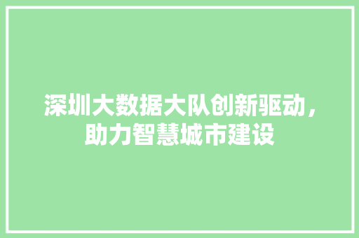 深圳大数据大队创新驱动，助力智慧城市建设