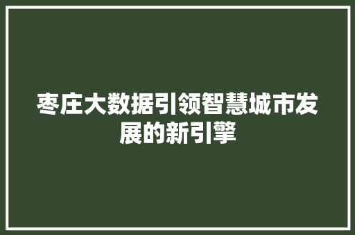 枣庄大数据引领智慧城市发展的新引擎
