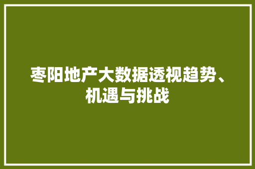 枣阳地产大数据透视趋势、机遇与挑战 枣阳地产大数据透视趋势、机遇与挑战
